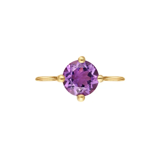 14K Yellow Gold Round Amethyst Solitaire Double Bail Charm by Aurelie Gi